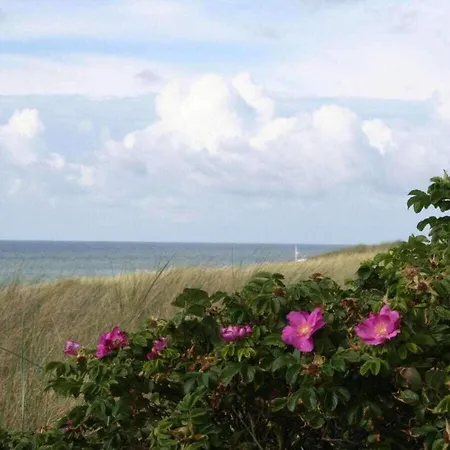 بيت للعطل Suederhof 3 *