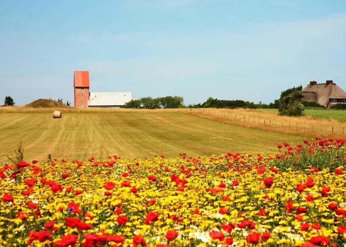 Vakantiehuis Suederhof 3 Keitum